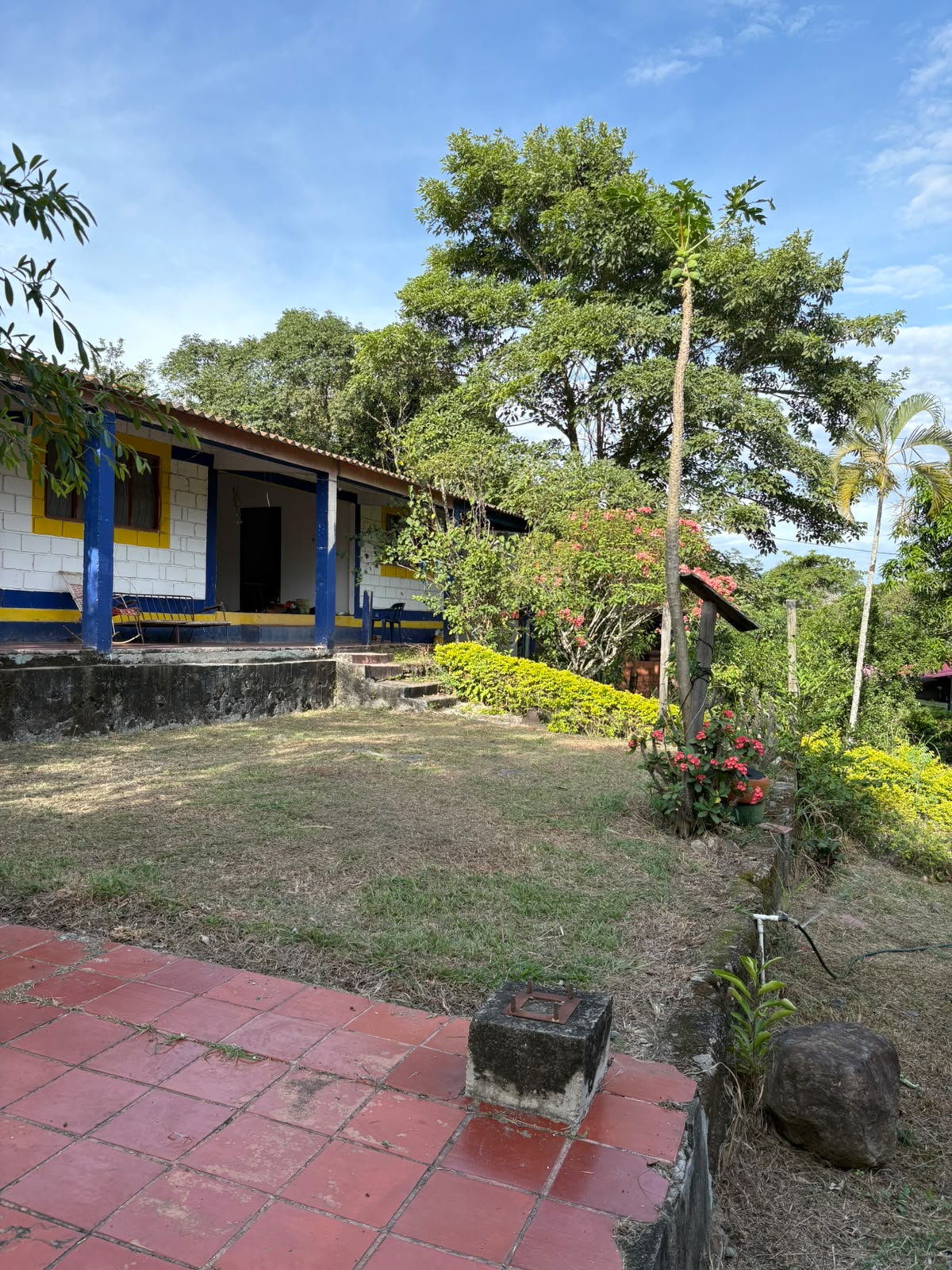 properties
