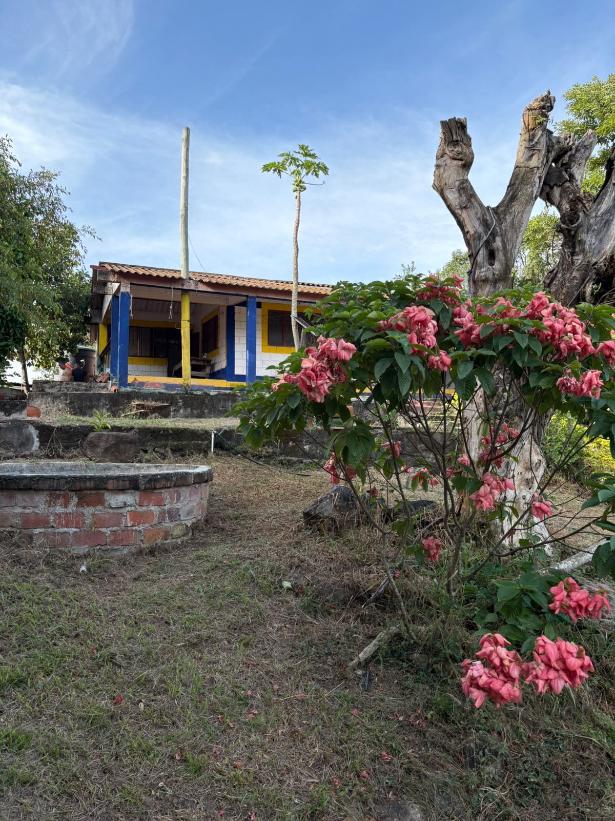 properties