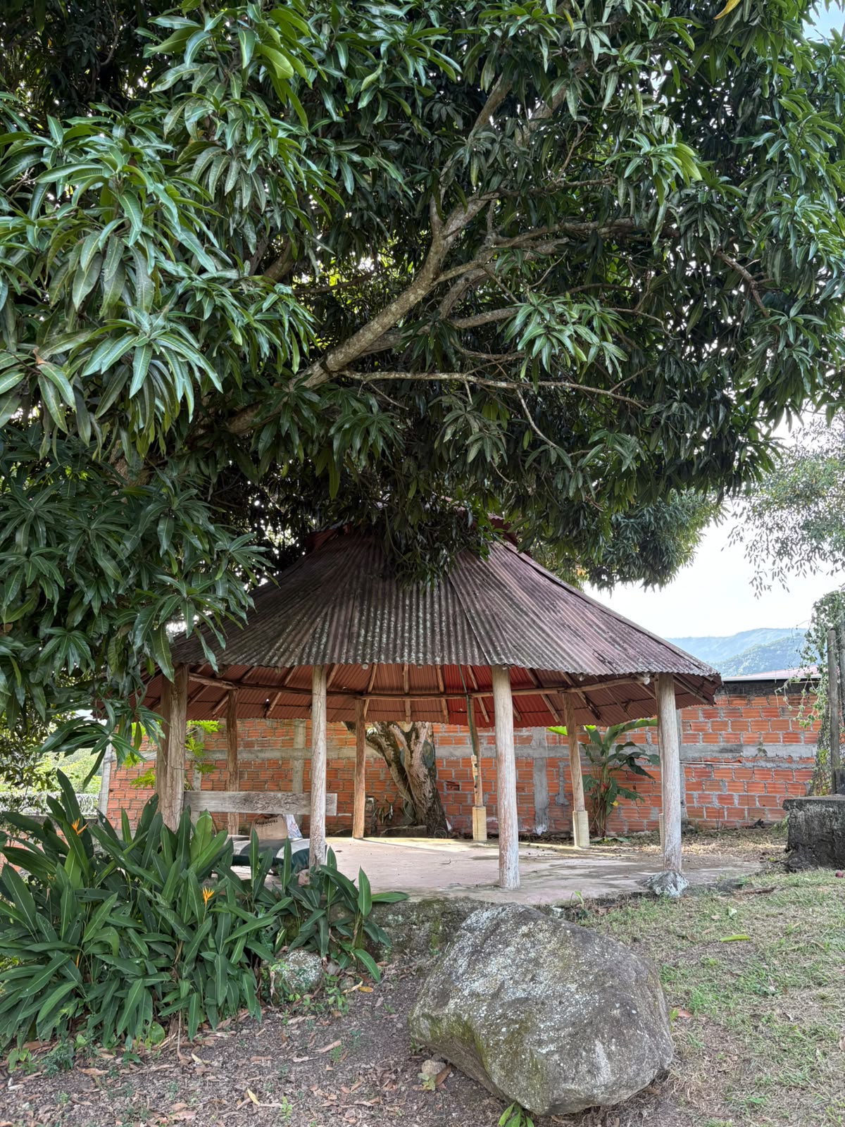 properties